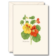Earth Sky + Water - Nasturtium Notecard Set - 8 Blank Cards with Envelopes