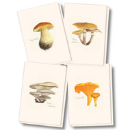 Earth Sky + Water - Edible Mushroom Assortment Notecard Set - 8 Blank Cards with Envelopes (2 each of 4 styles)