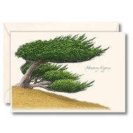 Earth Sky + Water - Monterey Cypress Notecard Set - 8 Blank Cards with Envelopes