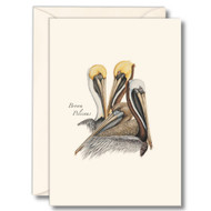 Earth Sky + Water - Brown Pelican Notecard Set - 8 Blank Cards with Envelopes