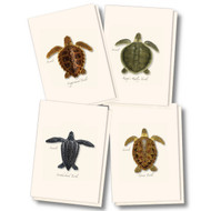 Earth Sky + Water - Sea Turtle Juveniles Assortment Notecard Set - 8 Blank Cards with Envelopes (2 each of 4 styles)