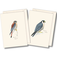 Earth Sky + Water - Sibley Raptor Assortment Notecard Set - 8 Blank Cards with Envelopes (4 each of 2 styles)