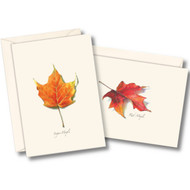 Earth Sky + Water - Maple Leaf Assortment II Notecard Set - 8 Blank Cards with Envelopes (4 each of 2 styles)