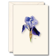 Earth Sky + Water - Iris Notecard Set - 8 Blank Cards with Envelopes