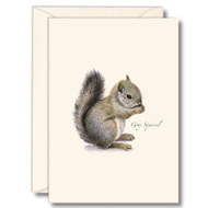 Earth Sky + Water - Gray Squirrel Notecard Set - 8 Blank Cards with Envelopes