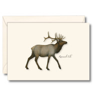 Earth Sky + Water - Roosevelt Elk Notecard Set - 8 Blank Cards with Envelopes
