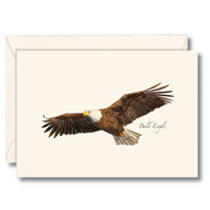 Earth Sky + Water - Bald Eagle Notecard Set - 8 Blank Cards with Envelopes