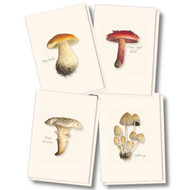 Earth Sky + Water - Mushroom Assortment Notecard Set - 8 Blank Cards with Envelopes (2 each of 4 styles)