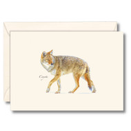 Earth Sky + Water - Coyote Notecard Set - 8 Blank Cards with Envelopes