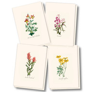 Earth Sky + Water - Western Wildflower Assortment Notecard Set - 8 Blank Cards with Envelopes (2 each of 4 styles)