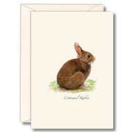 Earth Sky + Water - Cottontail Rabbit Notecard Set - 8 Blank Cards with Envelopes