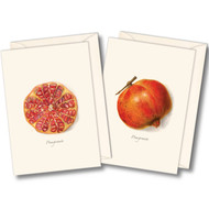 Earth Sky + Water - Pomegranate Assortment Notecard Set - 8 Blank Cards with Envelopes (4 each of 2 styles)