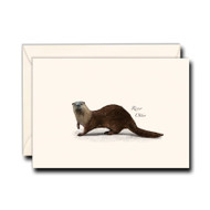 Earth Sky + Water - River Otter Notecard Set - 8 Blank Cards with Envelopes