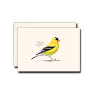 Earth Sky + Water - Sibleys American Goldfinch Notecard Set - 8 Blank Cards with Envelopes