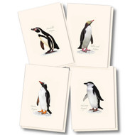 Earth Sky + Water - Penguin Assortment Notecard Set - 8 Blank Cards with Envelopes (2 each of 4 styles)