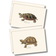 Earth Sky + Water - Freshwater Turtle Assortment Notecard Set - 8 Blank Cards with Envelopes (4 each of 2 styles)