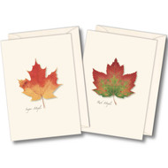 Earth Sky + Water - Maple Leaf Assortment Notecard Set - 8 Blank Cards with Envelopes (4 each of 2 styles)