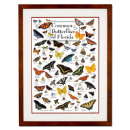 Earth Sky + Water - Common Butterflies of Florida - Double-matted Posters with Honey Frame