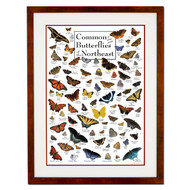 Earth Sky + Water - Common Butterflies of the Northeast - Double-matted Posters with Honey Frame