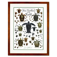 Earth Sky + Water - Sea Turtles of the World - Double-matted Posters with Honey Frame