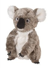 Douglas Aussie Koala