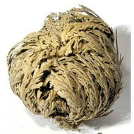 Herbs-Rose of Jericho-Whole