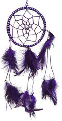 Purple Dream Catcher with Feathers 3.5" Diameter 12" Long