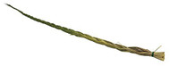 Sweetgrass Incense Braid XL 24"