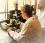 Laboratory Lubricant Analyst Level II - Video on Demand