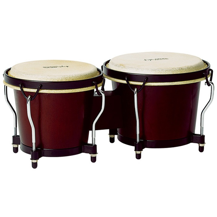 List 103+ Images How Many Bongos Are Left In The World Full HD, 2k, 4k