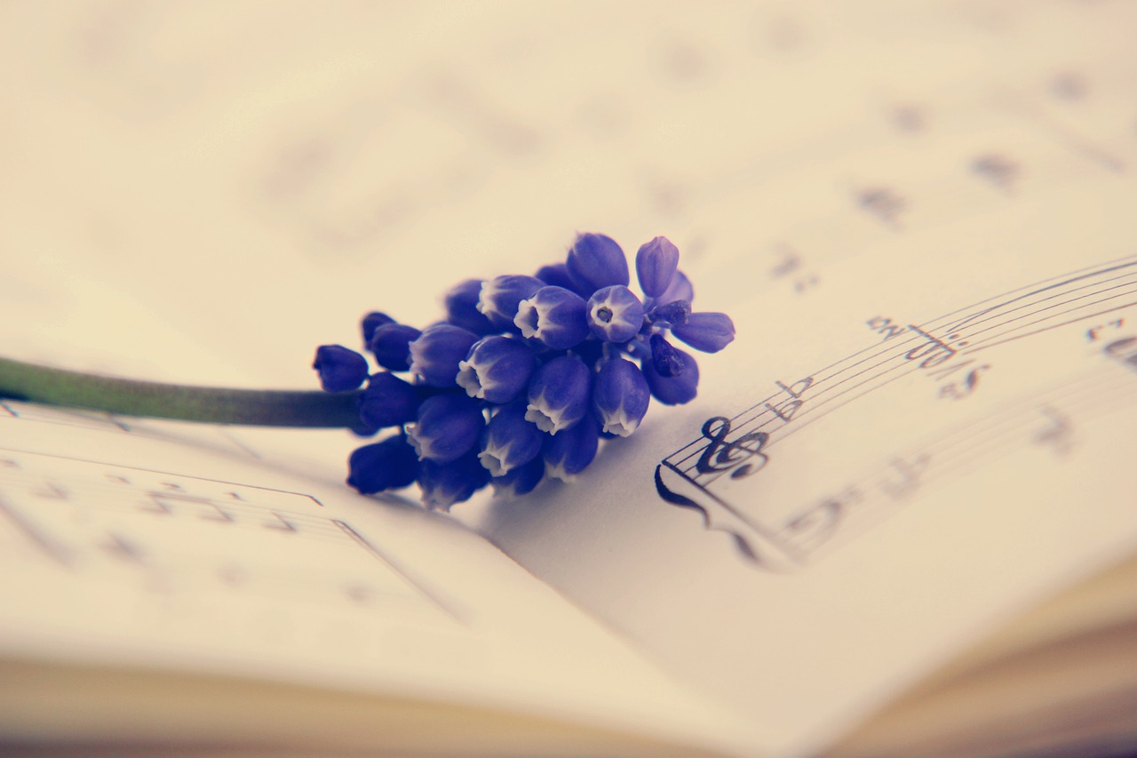 A small flower laid out on top of a book with musical notes.