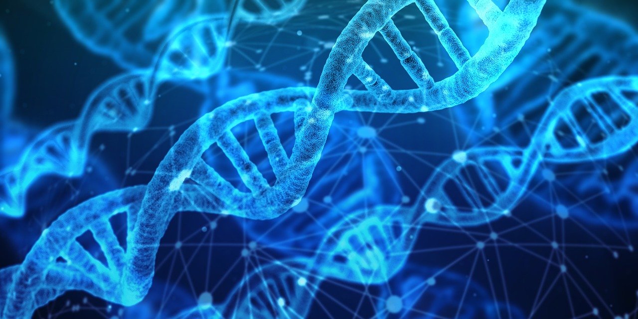 Blue colored strands of DNA with bright highlights closely grouped together.