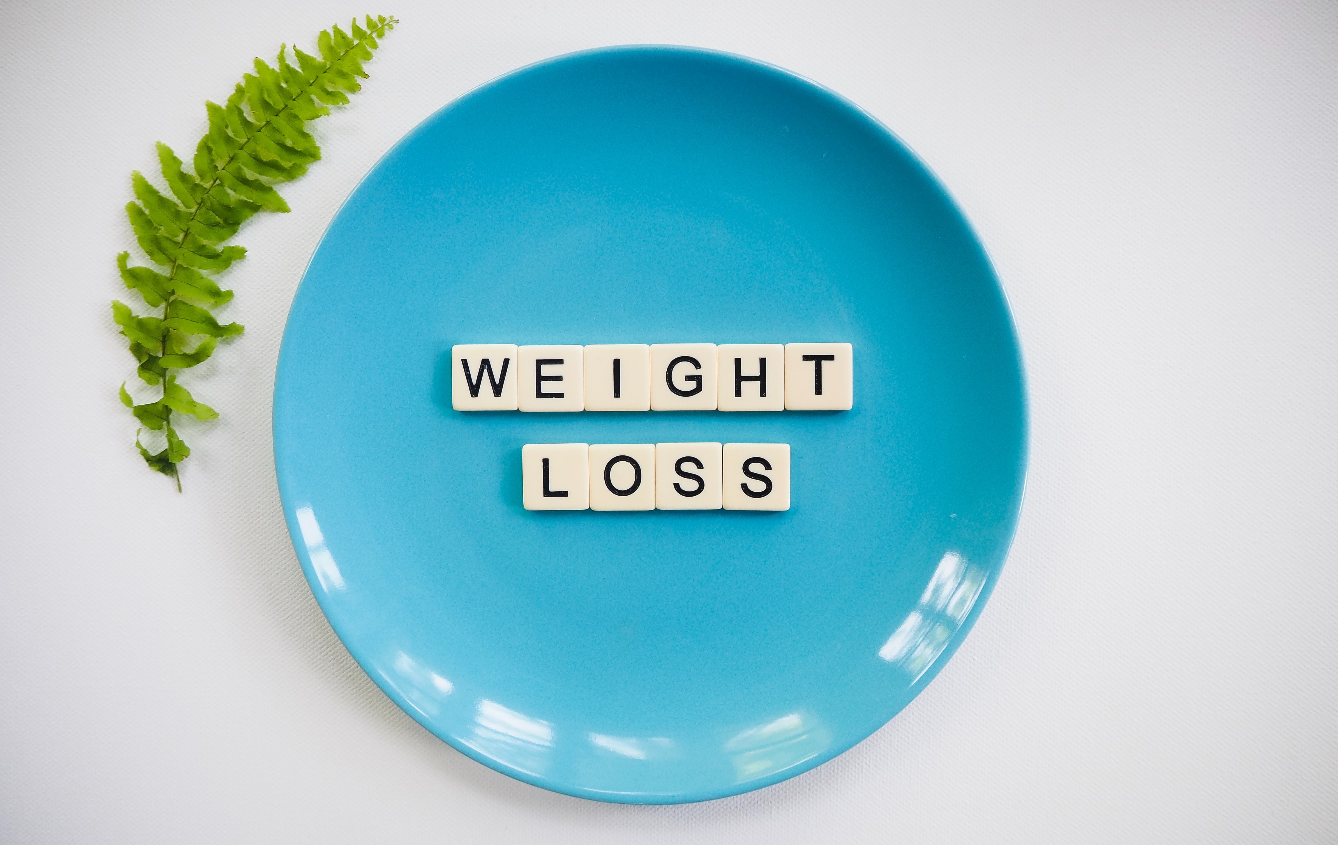 The words lose weight written on a blue plate on a table.
