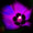 Psychic Development Megapack