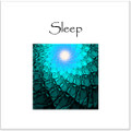 Sleep Reducer (Mind Sync Original)
