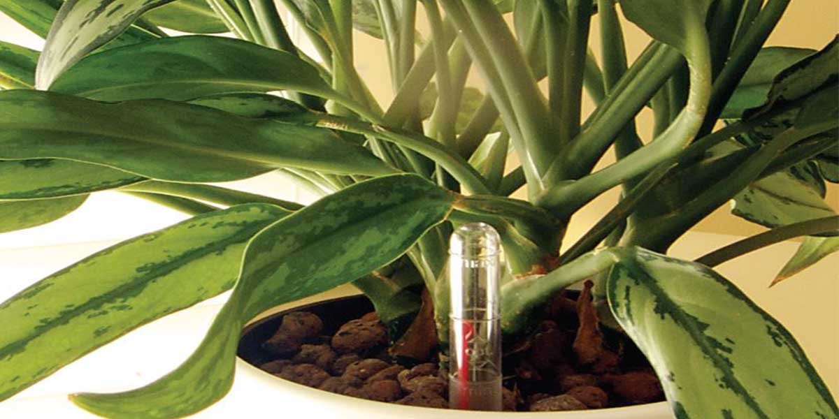 The Hydroponics Store