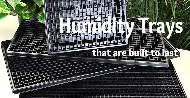 Humidity Tray - Large 29 1/2 x 13 1/2 x 2 1/4
