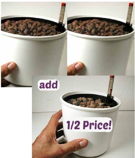 buy3-1-.jpg