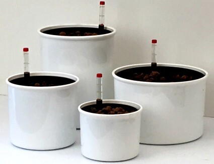 combo-planters425x327.jpg