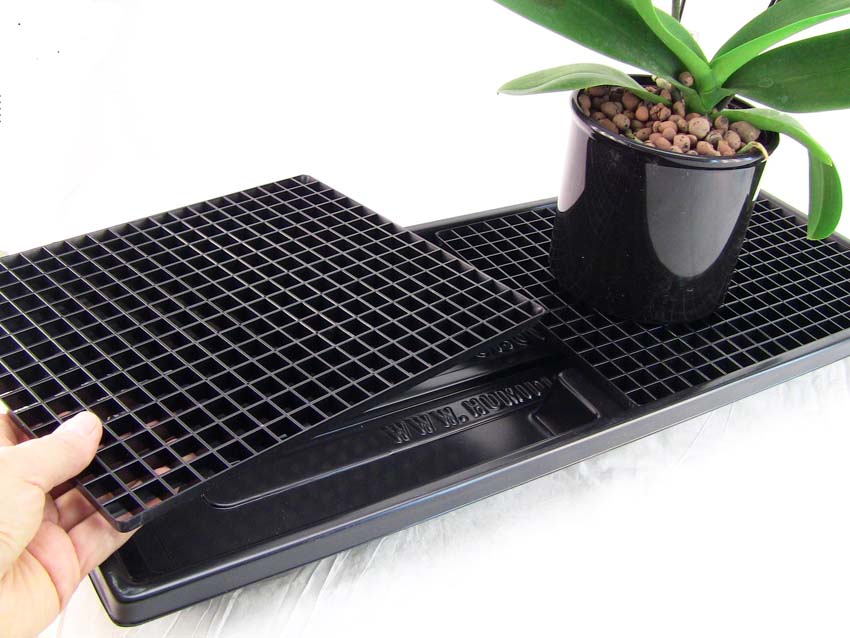 Monday's Simple Cleverness…Humidity Tray for Houseplants - SIMPLE