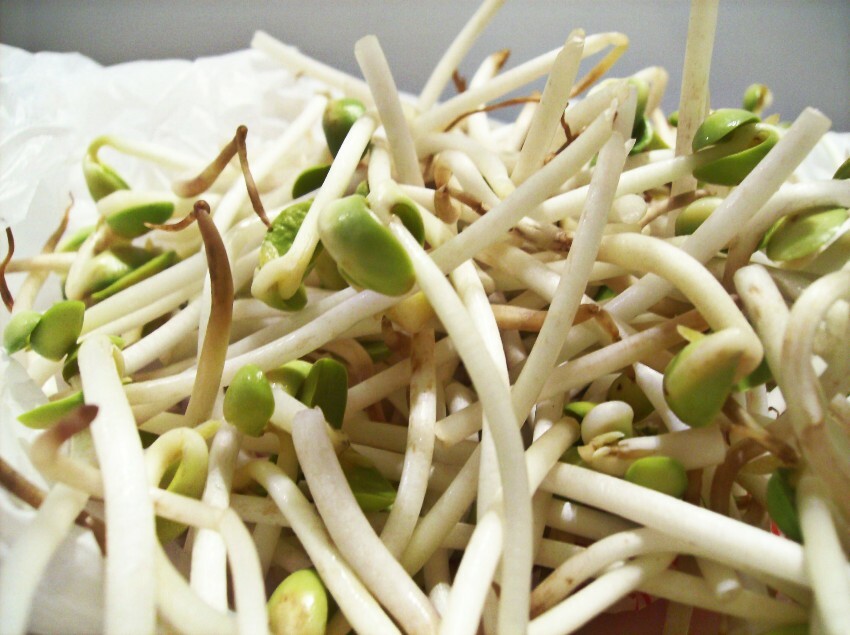 sprouts50.jpg