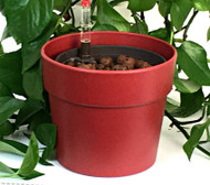 5" Hydro Planter - Classic Style Outer Pot