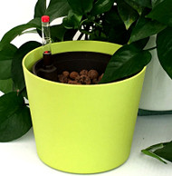 5" Hydro Planter - Flori Style Outer Pot