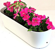 Flora Windowbox 20"x 7"x 6" tall - for Outdoor Growing