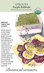 Seeds for Sprouting - Purple Kohlrabi - Organic