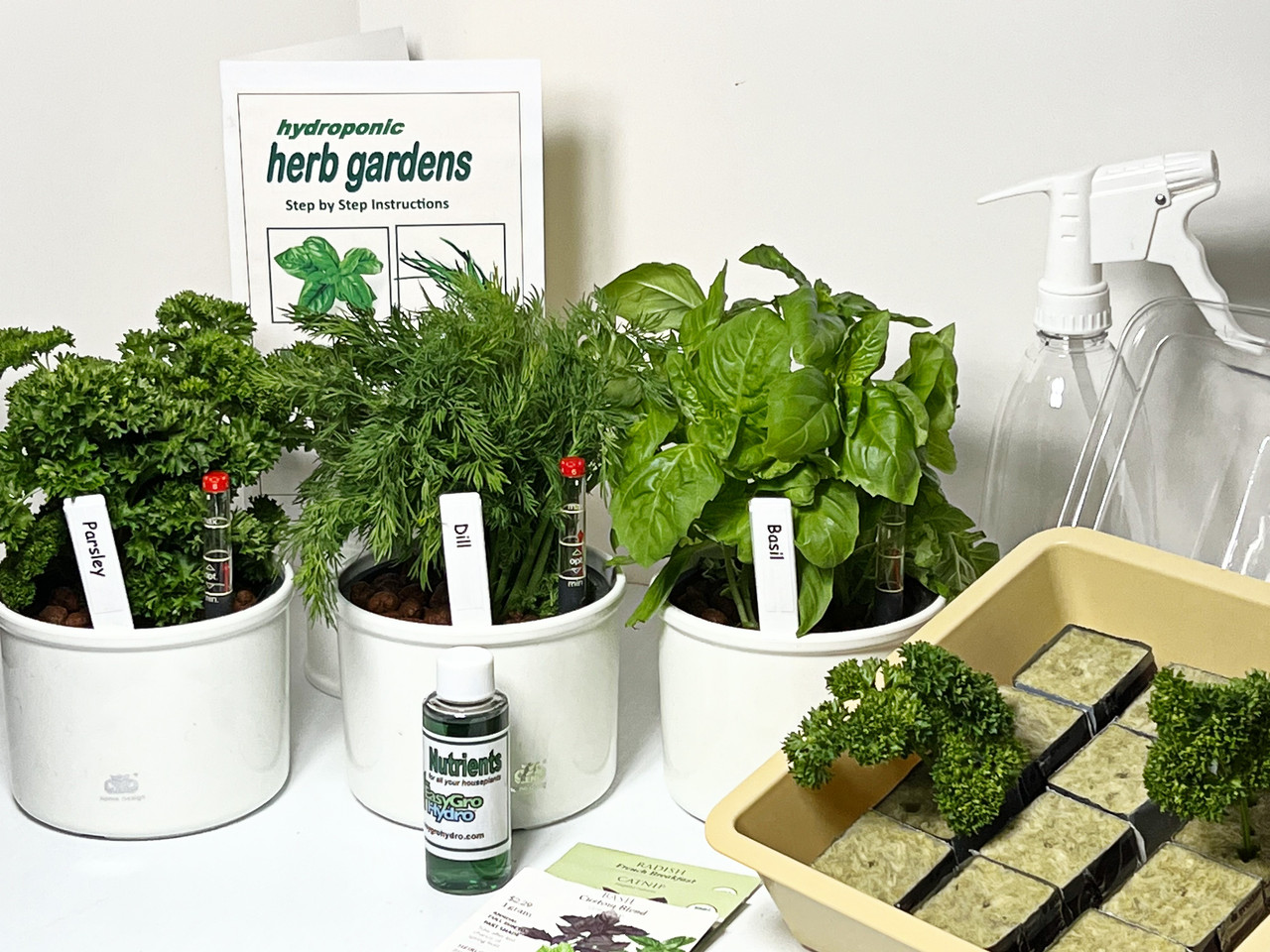 Revolutionize Your Garden with Hydroponic Plants for Year-Round Growing