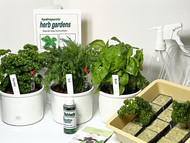 Starter Set for Growing Herbs Indoors