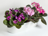 Mid Size Rectangle Planter  (14"x 5"x 4 1/2" high)