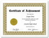 Shown is certificate border, style 1, in gold ink on white paper (Cool School Studios 02200).