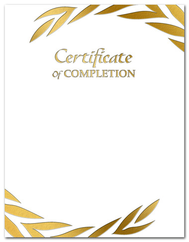 Gold Foil Embossed Certificate of Completion from Cool School Studios.